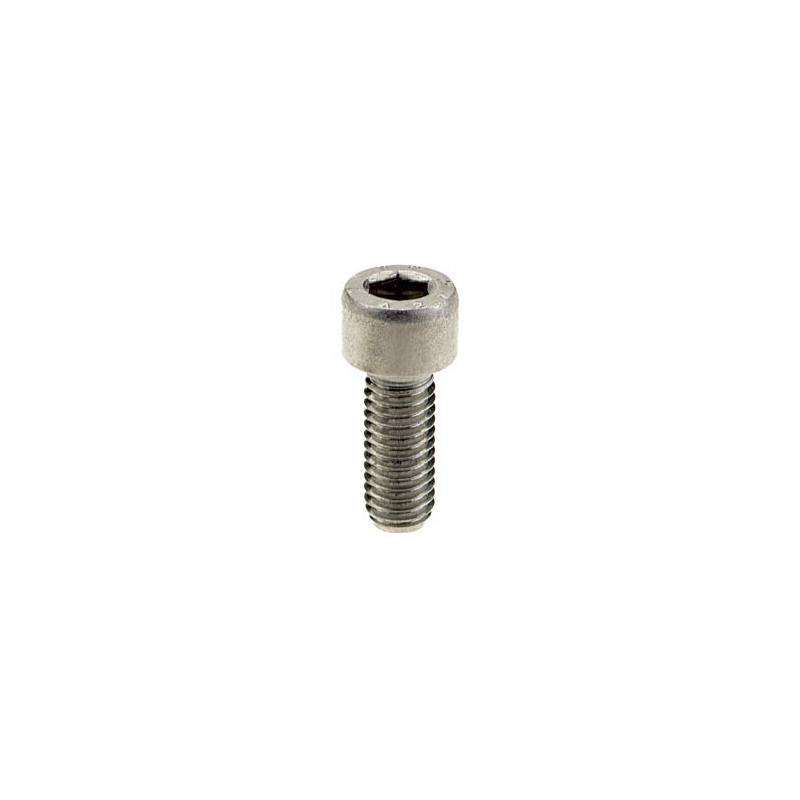 20 Hexagon socket Head Cap Screws M2X5 INOX A2 EF DIN 912