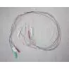 Leds cablées  3mm feux de position 7.2v 1 rouge. 1 verte. 2 blanches