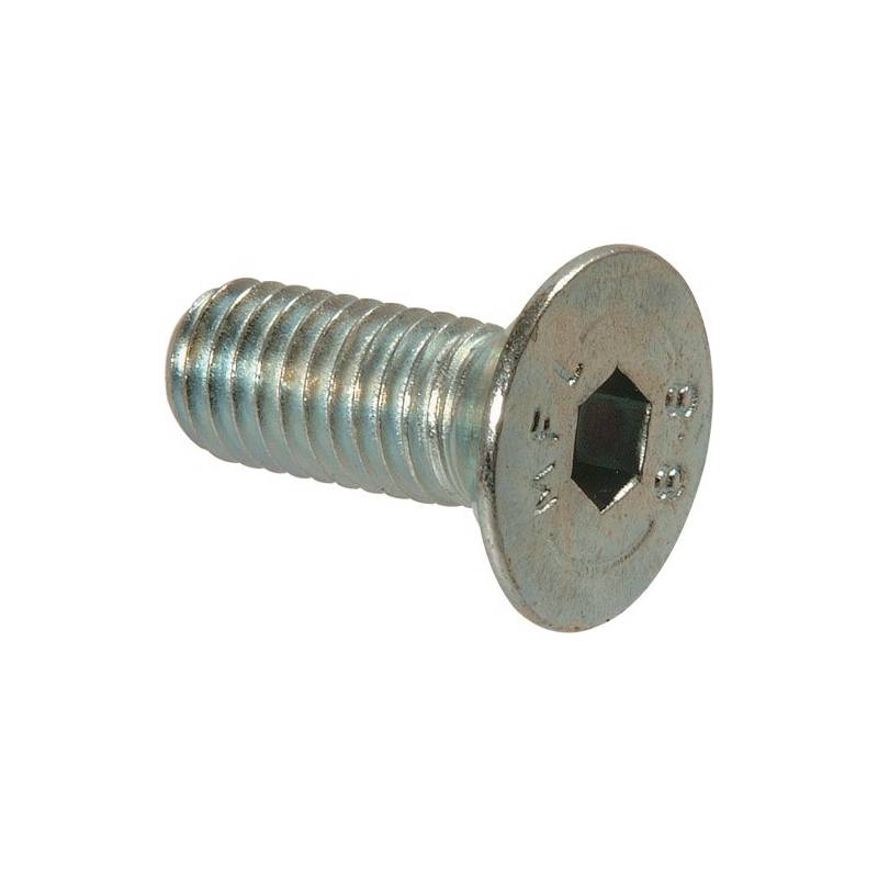 20 TFHC M2.5X10 stainless steel screws  DIN 7991