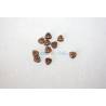 10 Caps De Mouton en bois brun 5mm Aero-Naut 528605