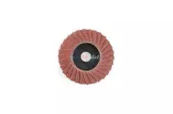 Disque à lamelles en corindon grain 100 pour LHW PROXXON 28590