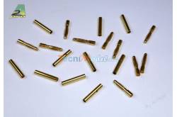 10 Connecteurs Or 2.0 mm mâle/femelle