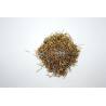 Clous en laiton 0.8 x 10mm