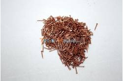 Copper Nails 1.0 x 10mm