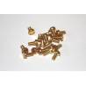 20 Slotted Cheese Head Screws M3X16 BRASS DIN84