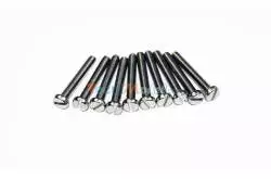 Vis Slotted Cheese Head Inox M3x25 (10 pièces)