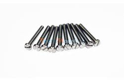 Vis Slotted Cheese Head Inox M2.5x30 (10 pièces)
