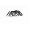 Vis Slotted Cheese Head Inox M2x10 (10 pièces)