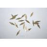 10 Hinges 4x14mm brass AERONAUT 780901