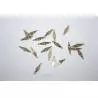 10 Charnières 4x14mm en laiton AERONAUT 780901