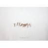 10 Belaying Pins wood 8mm KRICK 60803