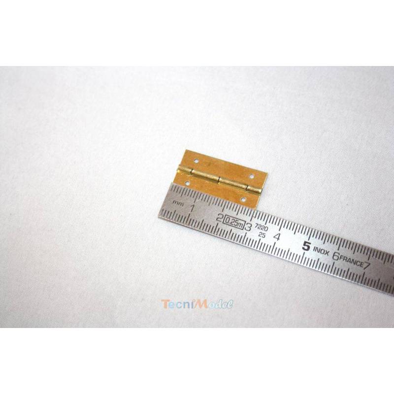10 Hinges 15x30mm AERONAUT 780909