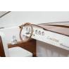 Comtesse Luxusyacht de Aero-Naut