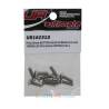 Vis TBHC M3x10mm (x10) Acier Zingué MODELIX UR162310