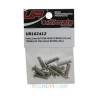 Vis TBHC M4x12mm (x10) Acier Zingué MODELIX UR162412