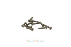 Vis TFHC M2x10mm (x10) Acier Zingué MODELIX UR161210