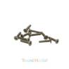 Vis TFHC M2x10mm (x10) Acier Zingué MODELIX UR161210