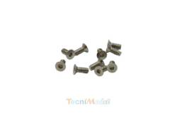 Vis TFHC M2.5x6mm (x10) Acier Zingué