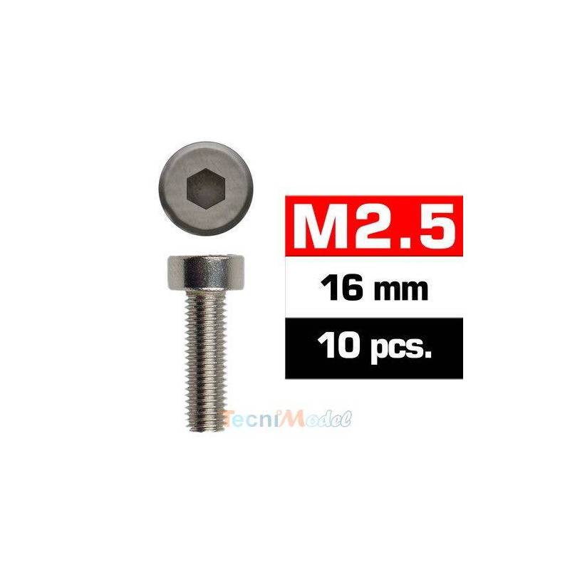 Vis TCHC M2.5x16mm (x10) Acier Zingué