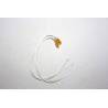 2 Ampoules miniature Ø3mm 6v/50mA Jaunes