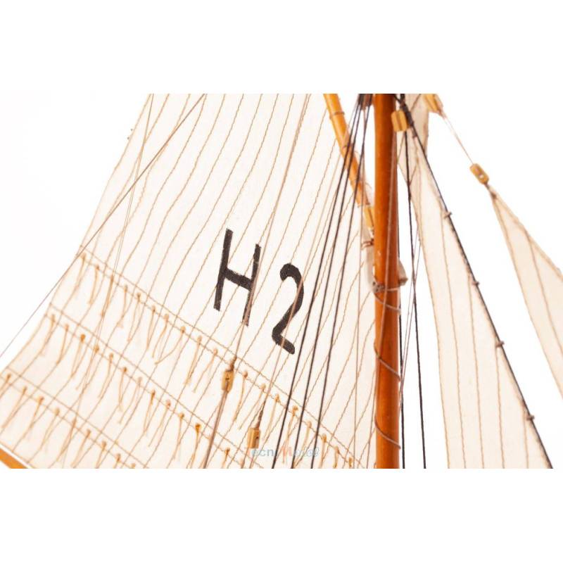 Henriette Marie Pilot Cutter 1/50 kit by BILLING BOATS