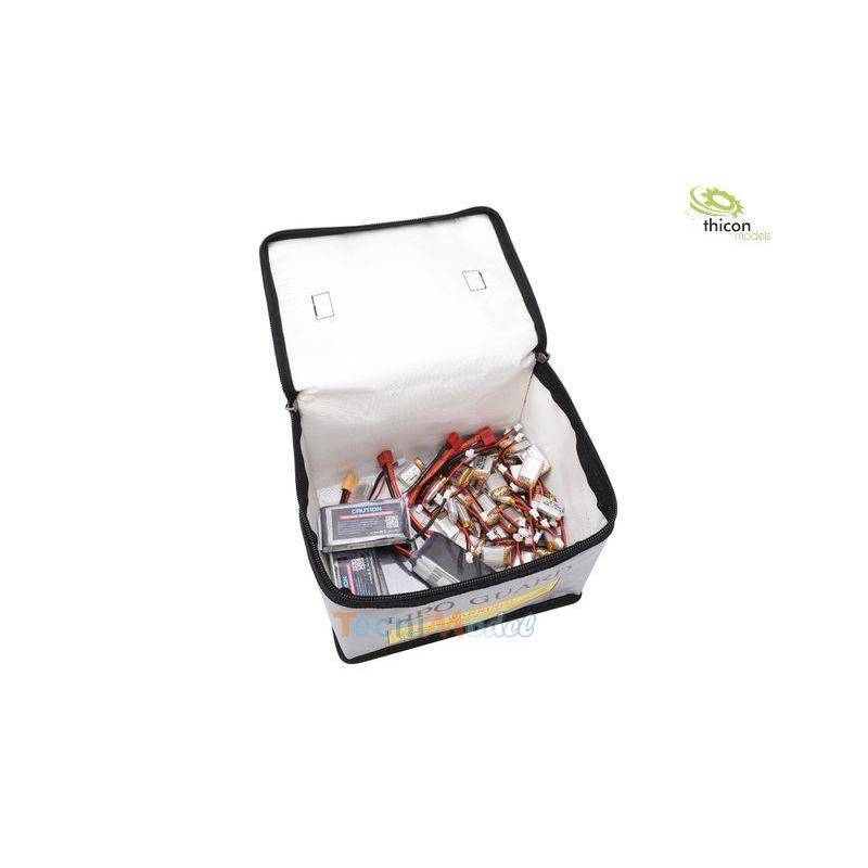 Sac de charge et de transport pour accus au lithium THICON MODELS 80046
