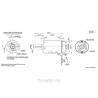 MAX Power 400 electric brushed motor KRICK 42116