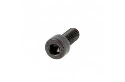 20 TCHC M2X6 BLACK STEEL DIN 912 screws