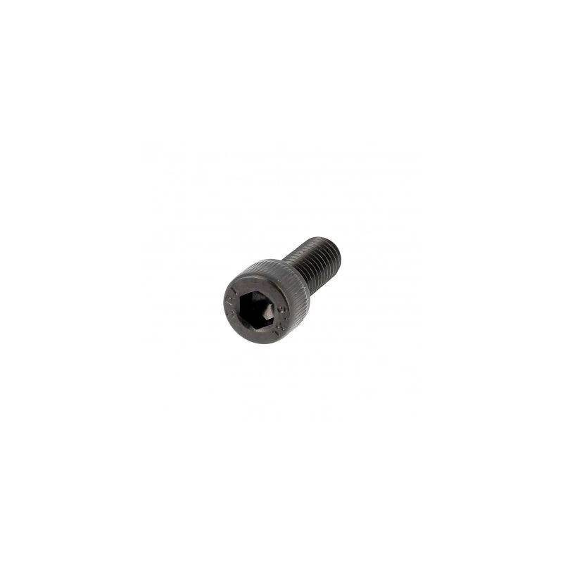 20 TCHC M2X6 BLACK STEEL DIN 912 screws