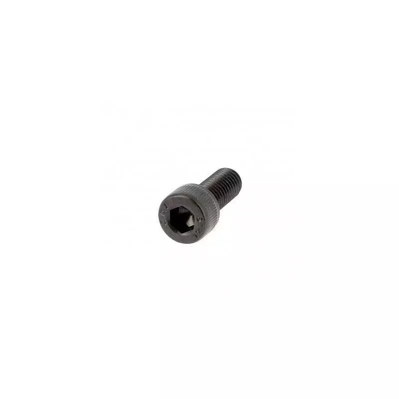Vis TCHC M2X16 ACIER 12.9 NOIR EF DIN 912 (par 50)