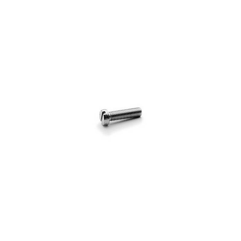 20 Slotted Cheese Head Screws M4X16 White zinc plated DIN 84