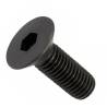 20 TFHC M3X20 Black 10.9 Steel DIN 7991 screws