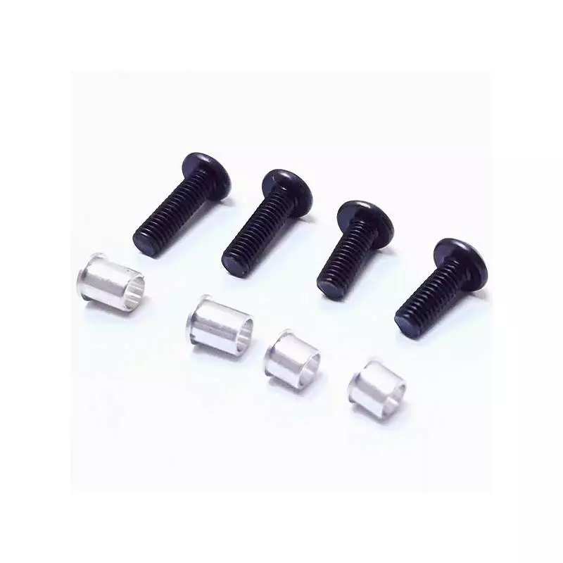 "Pirate" Screws + Washers - T2M T4900/17S