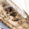 ENDEAVOUR 1/80 Kit with tools by AMATI