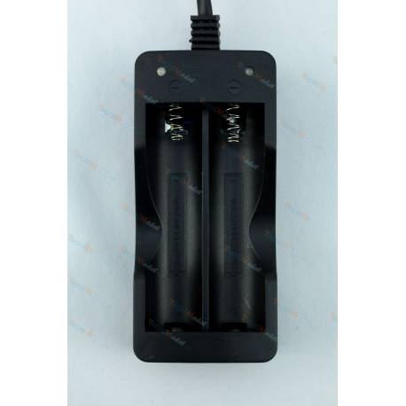 220v charger for 2 18650 Li-Ion batteries