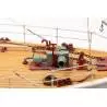 CALYPSO 1/45 Billing Boats BB560