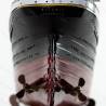 TITANIC 1/250 Kit by AMATI