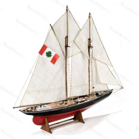 KIT BLUENOSE AMATI 1/100