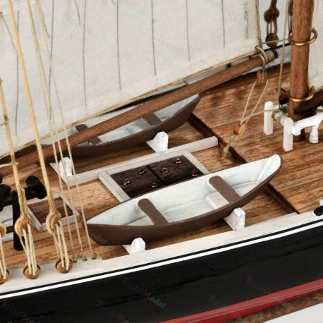 KIT BLUENOSE AMATI 1/100