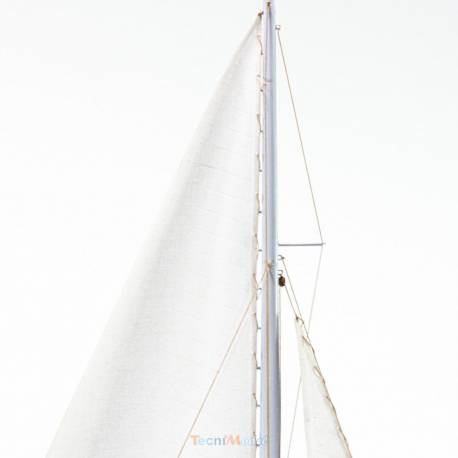 KIT RAINBOW AMATI 1/80 avec coque plastique