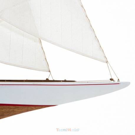 KIT RAINBOW AMATI 1/80 avec coque plastique