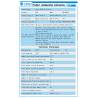 TRACKED BULLDOZER RC DT60 LESU 1/14