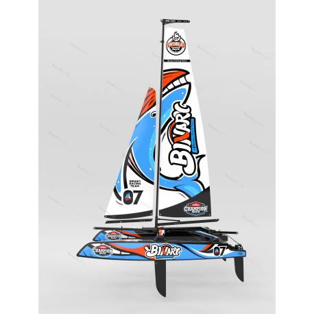 Voilier catamaran radiocommandé BINARY V3 JOYSWAY JY8807V3