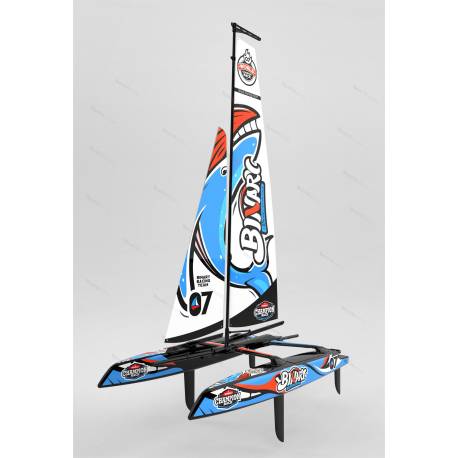 Voilier catamaran radiocommandé BINARY V3 JOYSWAY JY8807V3