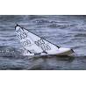 Sailboat Joysway Dragon Flite 95 v3 - JOYSWAY DF95 8811V3