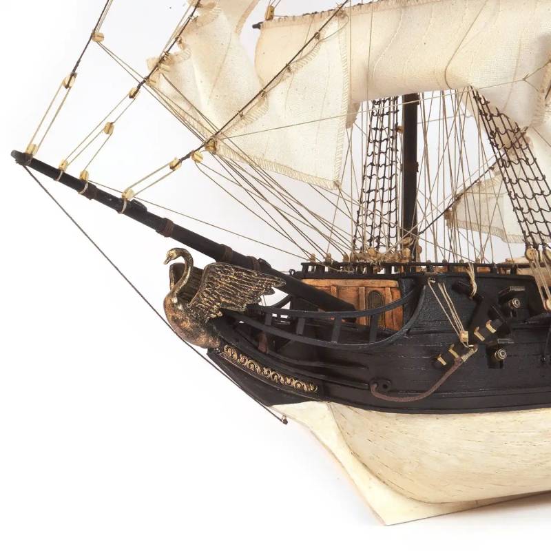 Wooden model of the pirate sailing ship "Black Swan" OCCRE 12012