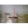 "Dragen" Wooden Hull Sailboat 1/12 Kit by Billing-Boats