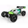 Pirate Snake Brushless XL 1/10 4WD RTR RC Buggy - T2M T4969BL