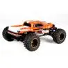 Pirate Stormer 1/10 RC Buggy - T2M T4976 - TecniModel