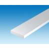10 Rectangular profiles 1.0 x 2.5mm ref: 145 Evergreen